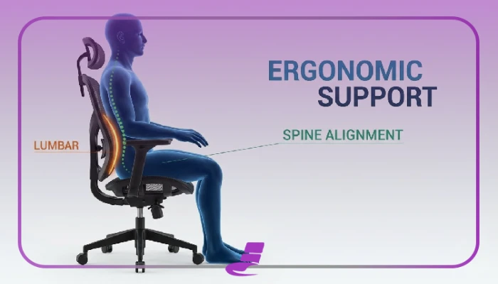 تأثیر صندلی اداری استاندارد بر حفظ سلامت ستون فقرات